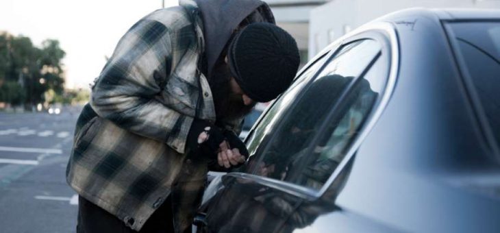 Calgary’s vehicle theft rate highest in Canada.